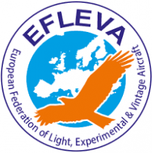 logo EFLEVA